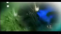 鄉(xiāng)村愛情歌曲