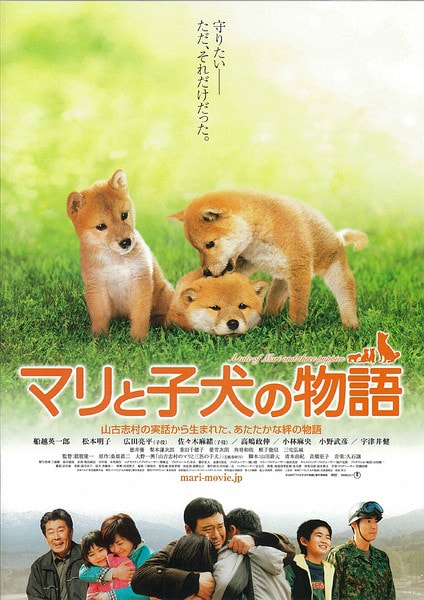 http://www.fjsenfa.cn/pics/default/download/3cbb2088aa306d64f532422808fcb823.jpg