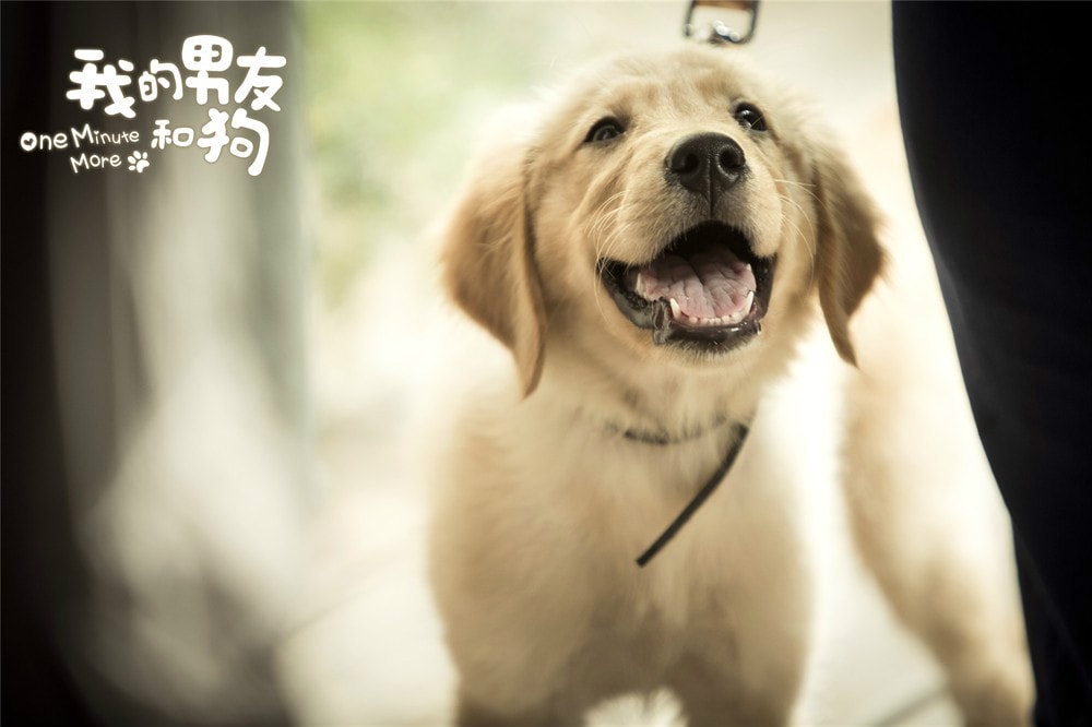 http://www.fjsenfa.cn/pics/default/download/3ce1311d81fdee3911a25cc0a694b295.jpg