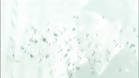 飛飛離去版 武林外史結(jié)局