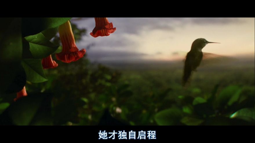 http://www.fjsenfa.cn/pics/default/download/3e3ca58f72f6070fa3c4ad81895a8047.jpg