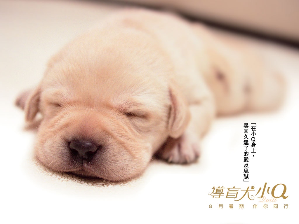 http://www.fjsenfa.cn/pics/default/download/3e5a2011cc43e61a104bd85f47980ea5.jpg