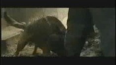 電視宣傳片1