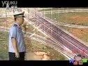 開(kāi)心茶館《超速行駛”》