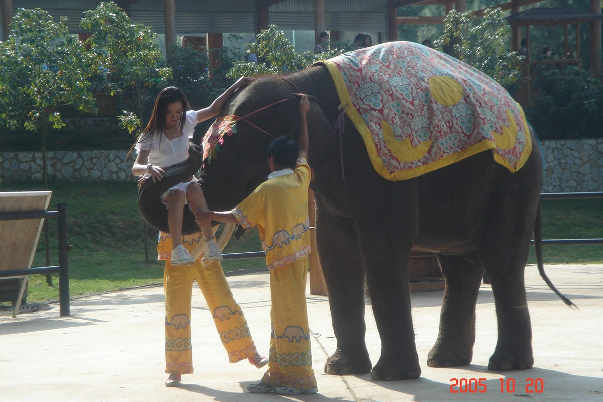http://www.fjsenfa.cn/pics/default/download/404a/50da8fec0e145468d09d52fa78a4.jpg