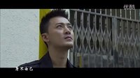 【線人預告·林峰 吳京 李倩 楊愛瑾】身不由己