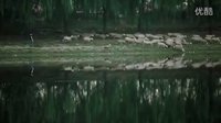 電影《找打》預告片