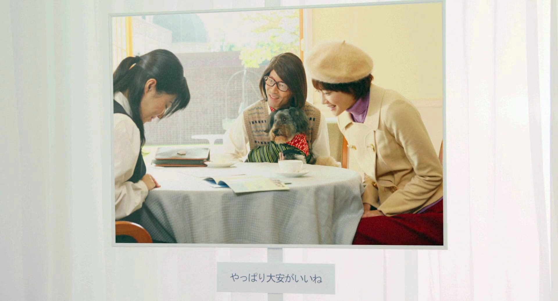 http://www.fjsenfa.cn/pics/default/download/43f63dc02655aa5d06febcd5bc579f0a.jpg
