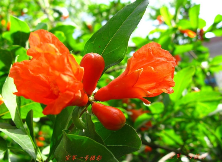 http://www.fjsenfa.cn/pics/default/download/4476f2dcd602641fee4b2e2b52078834.jpg