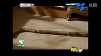 青春萬(wàn)萬(wàn)歲阿哲