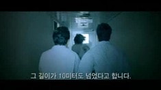 預(yù)告片