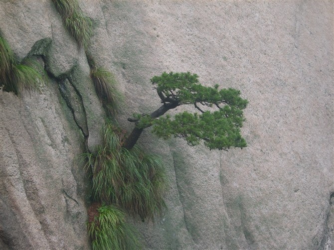 http://www.fjsenfa.cn/pics/default/download/4712678bd95565de06ff8d7e8af7ff6e.jpg
