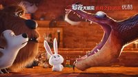 愛寵大機(jī)密 小白特輯中文字幕