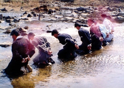 http://www.fjsenfa.cn/pics/default/download/47dee0273d4f089fc1faab5ac4ed5e5a.jpg