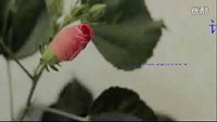 黑河學院計算機科學與工程系2011迎新生晚會開場視頻