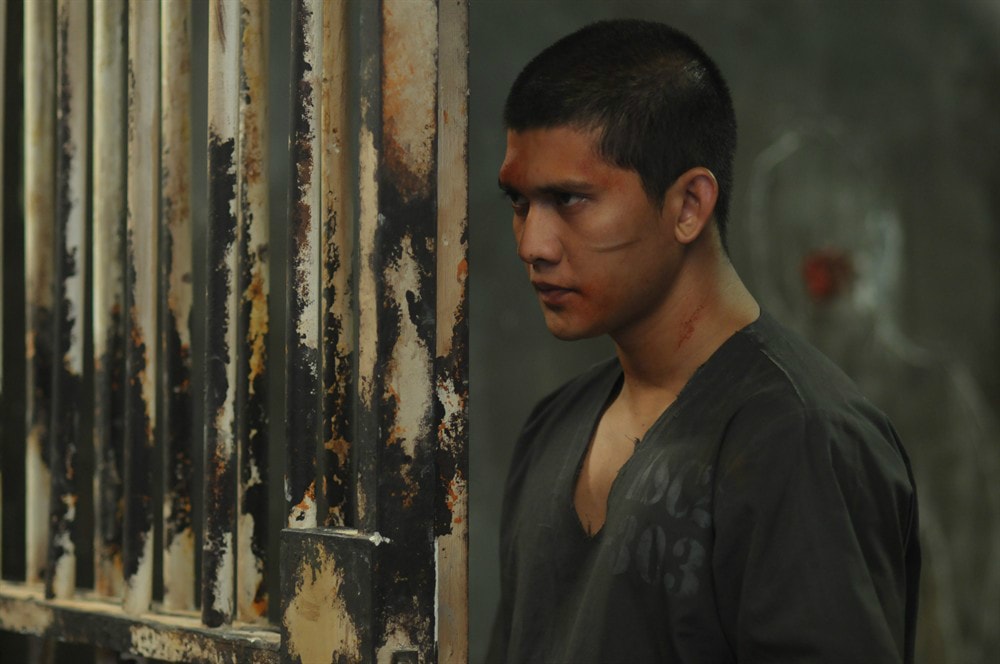 http://www.fjsenfa.cn/pics/default/download/487143789c5163c420cc97f47642475a.jpg