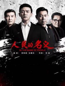 人民的名義[DVD版]
