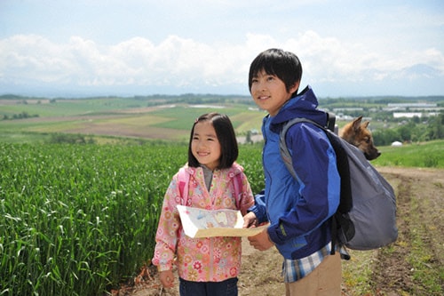 http://www.fjsenfa.cn/pics/default/download/48accc3eab05a0b034237a608510fc4d.jpg