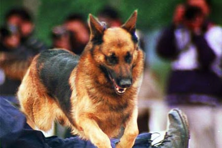 http://www.fjsenfa.cn/pics/default/download/48d600bf5fe46a0111b3b6d7d2c3f44a.jpg