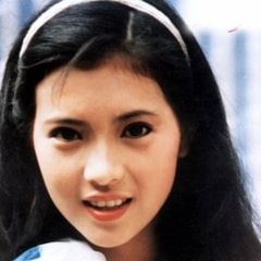 藍(lán)潔瑛