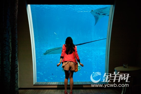 http://www.fjsenfa.cn/pics/default/download/49deb6a37fee6d05e9f5201f7a294a1e.jpg