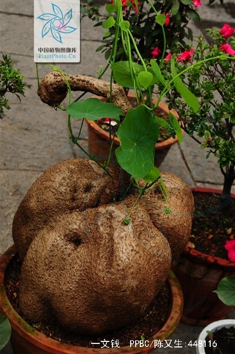 http://www.fjsenfa.cn/pics/default/download/4acfd1530f44e093759eef25fb2768c8.jpg