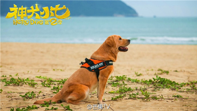 http://www.fjsenfa.cn/pics/default/download/4aefb029f1c391563306824dae696982.jpg