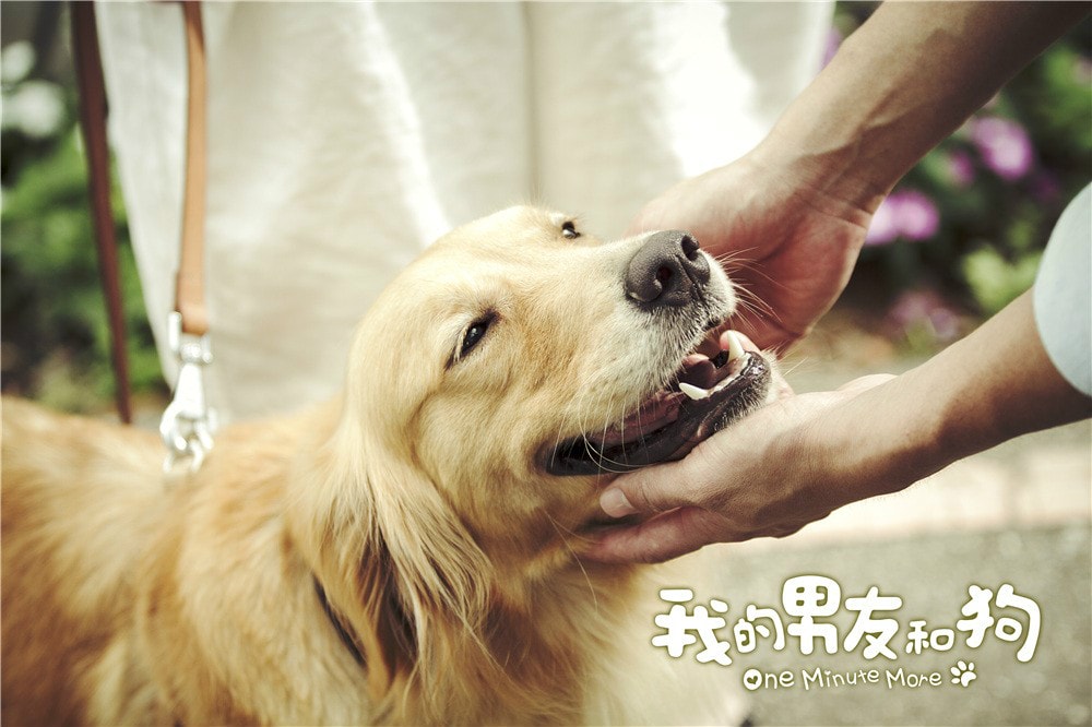 http://www.fjsenfa.cn/pics/default/download/4b3477d87f962b065e7fa2341bc210ed.jpg