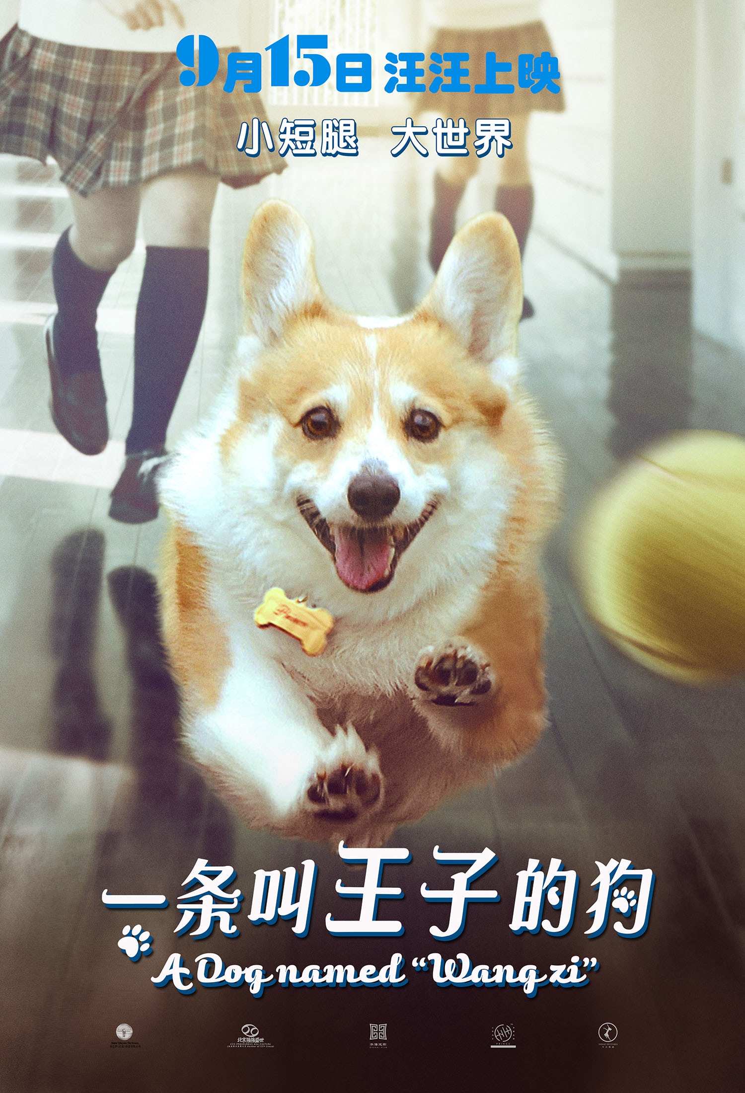 http://www.fjsenfa.cn/pics/default/download/4b54dffb132cb6ed26206bf949063448.jpg
