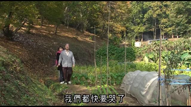 http://www.fjsenfa.cn/pics/default/download/4bf55d105e2facfabafbaa466705c1a1.jpg