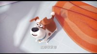 《愛寵大機(jī)密》全新重磅預(yù)告 飛天入地大冒險(xiǎn)太過癮
