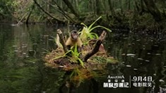 中文版先行預(yù)告片