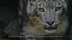 中文版預告片1