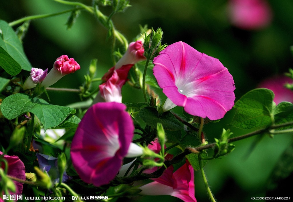 http://www.fjsenfa.cn/pics/default/download/4d6eb5c5c3a015845eac8a0c9990372c.jpg