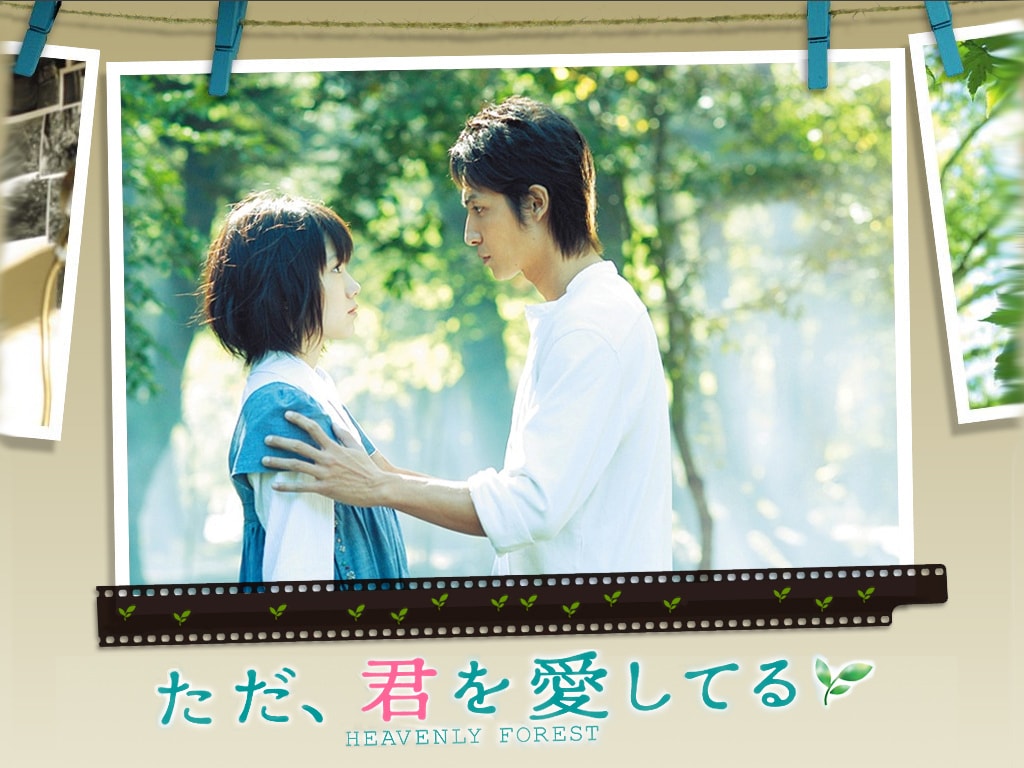 http://www.fjsenfa.cn/pics/default/download/4d88df91715cf91e53f87f30c5d16932.jpg