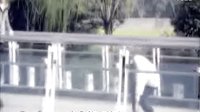愛情從告白開始