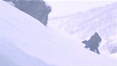 病毒視頻之Man vs. Wild
