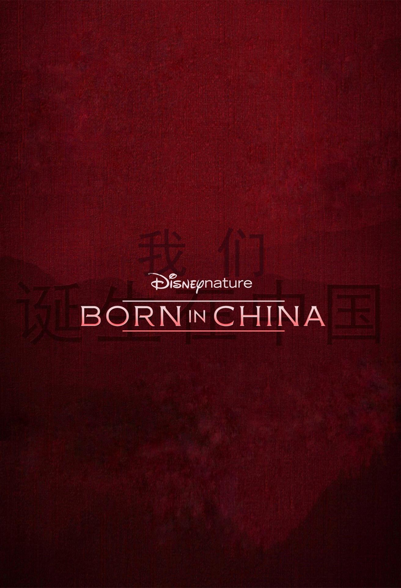 http://www.fjsenfa.cn/pics/default/download/4ffb8f12070cf9f60c9df778a962bfd2.jpg