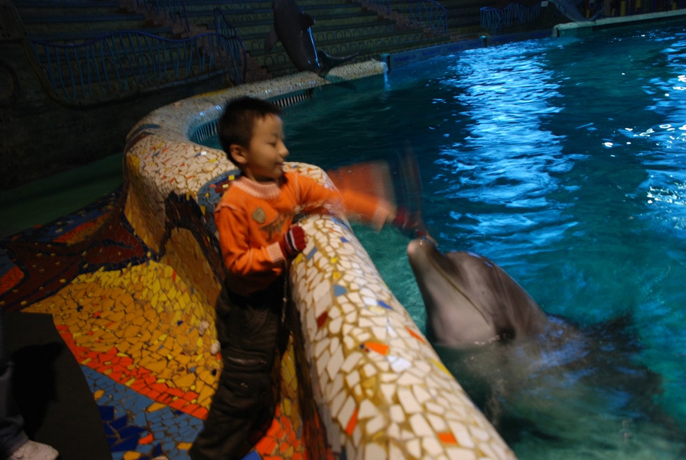 http://www.fjsenfa.cn/pics/default/download/505288e325c44ea516974d8f20846563.jpg