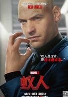 寇瑞·斯托爾