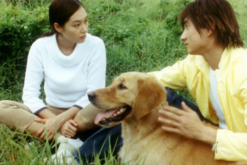 http://www.fjsenfa.cn/pics/default/download/516bc223c88bbf0ed19227f793ec335b.jpg