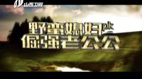 山西衛視野鴨子網絡版30B