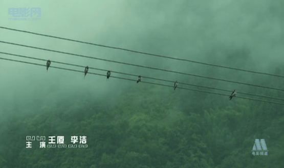 http://www.fjsenfa.cn/pics/default/download/51fd26b28c211351c07e07cc05818328.jpg