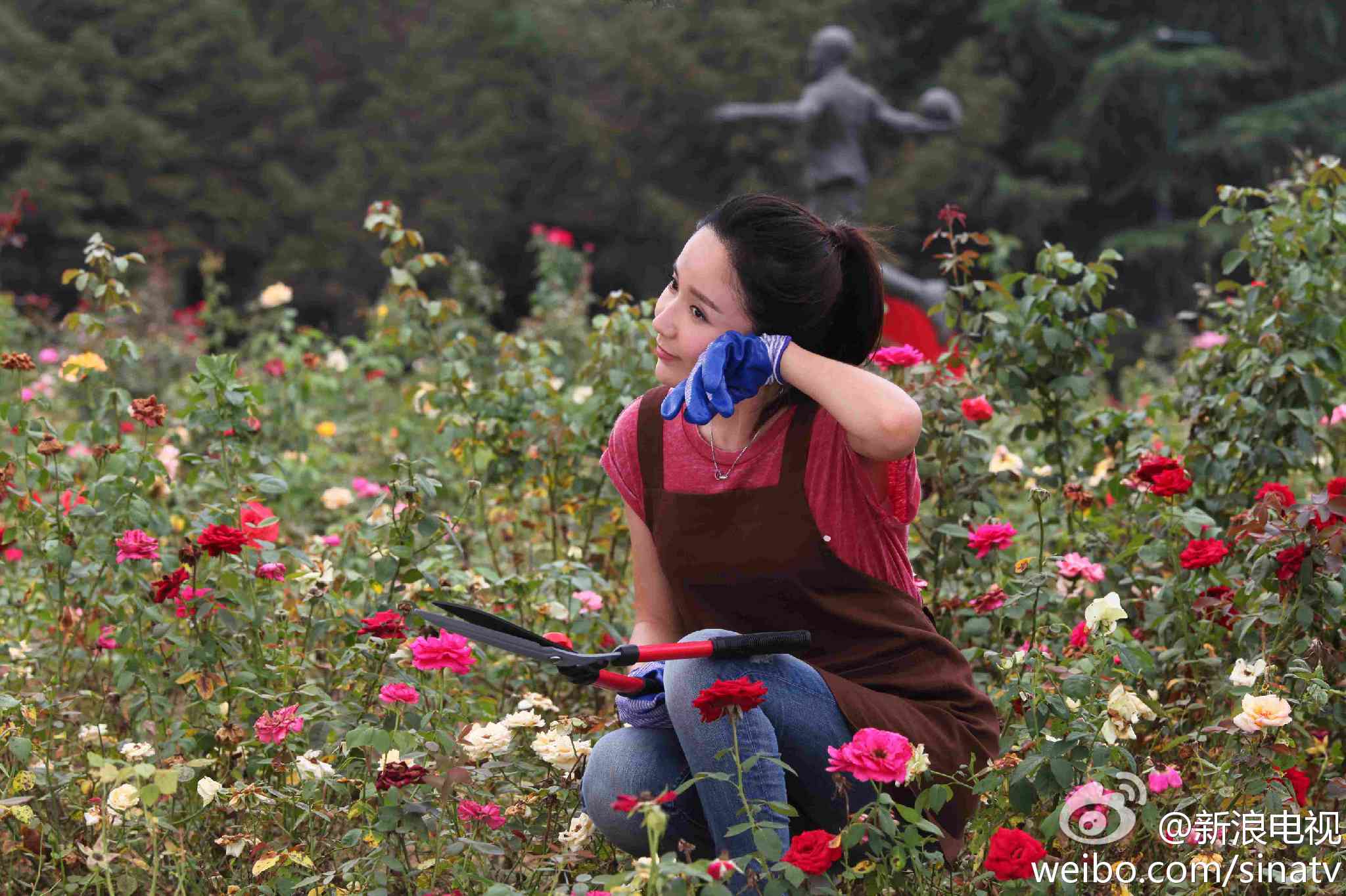 http://www.fjsenfa.cn/pics/default/download/52335e9633b3504a72a7c120c28817d2.jpg