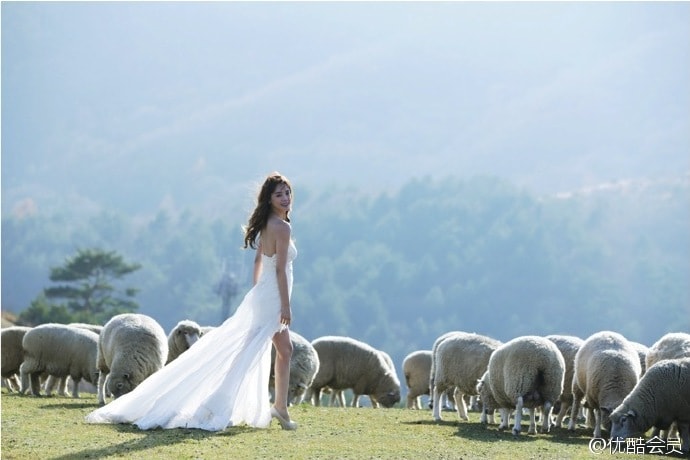 http://www.fjsenfa.cn/pics/default/download/536a7be0edaf2daf55aed26494a49aaa.jpg