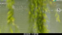 限期出嫁之靈魂世界