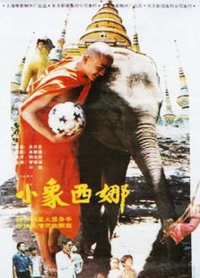 小象西娜