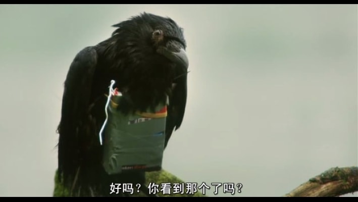 http://www.fjsenfa.cn/pics/default/download/559a00d2e227d03d01f8d64e6195e639.jpg