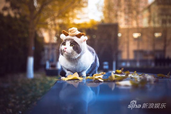 http://www.fjsenfa.cn/pics/default/download/564e934071e49e8e2153c62d45491e1d.jpg