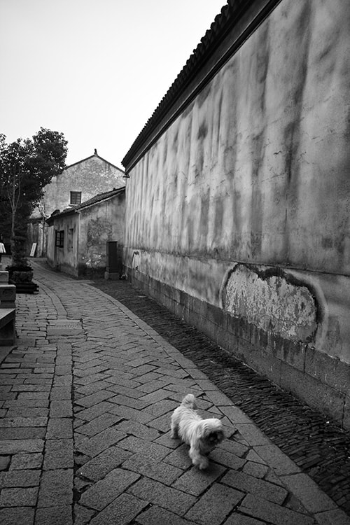 http://www.fjsenfa.cn/pics/default/download/56bc4084069689a5766d157c4a26b90e.jpg